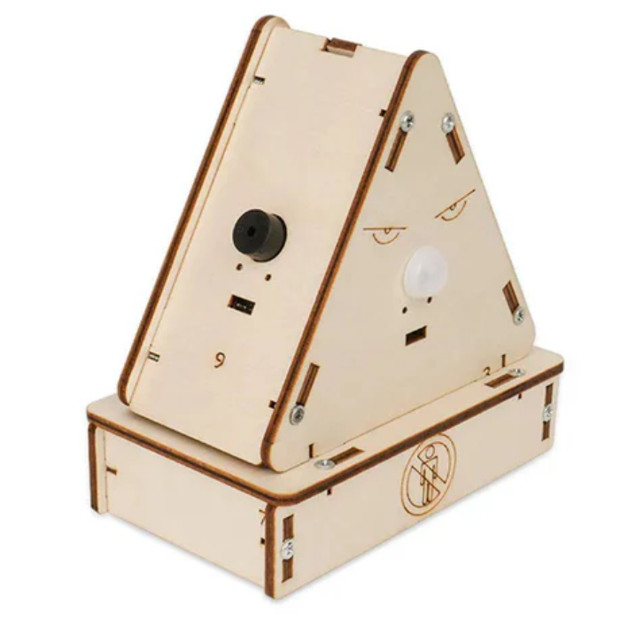 DIY Human Gesture Detection STEM kit details
