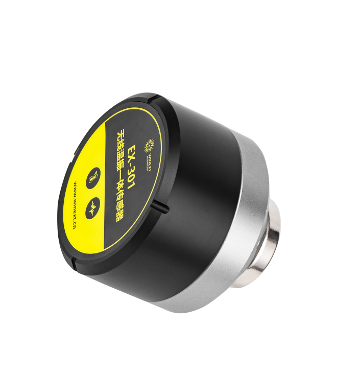 EX-301 LoRaWAN Wireless Temperature and Vibration Sensor top label angled view