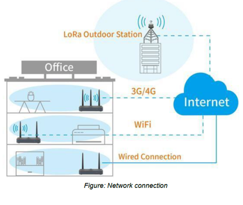 GW1000 LTE gateway Gateway network connection diagram
