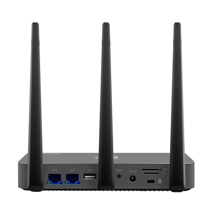 GW1000 ports and interfaces